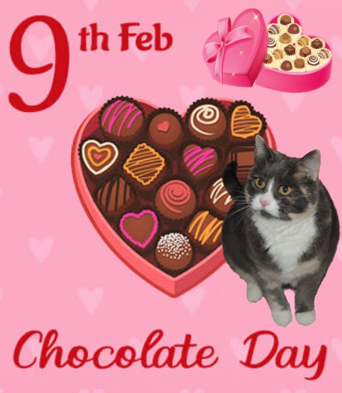 Blanche uploaded   76  day/s  ago