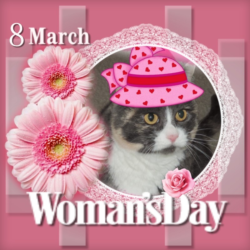 Blanche uploaded   46  day/s  ago