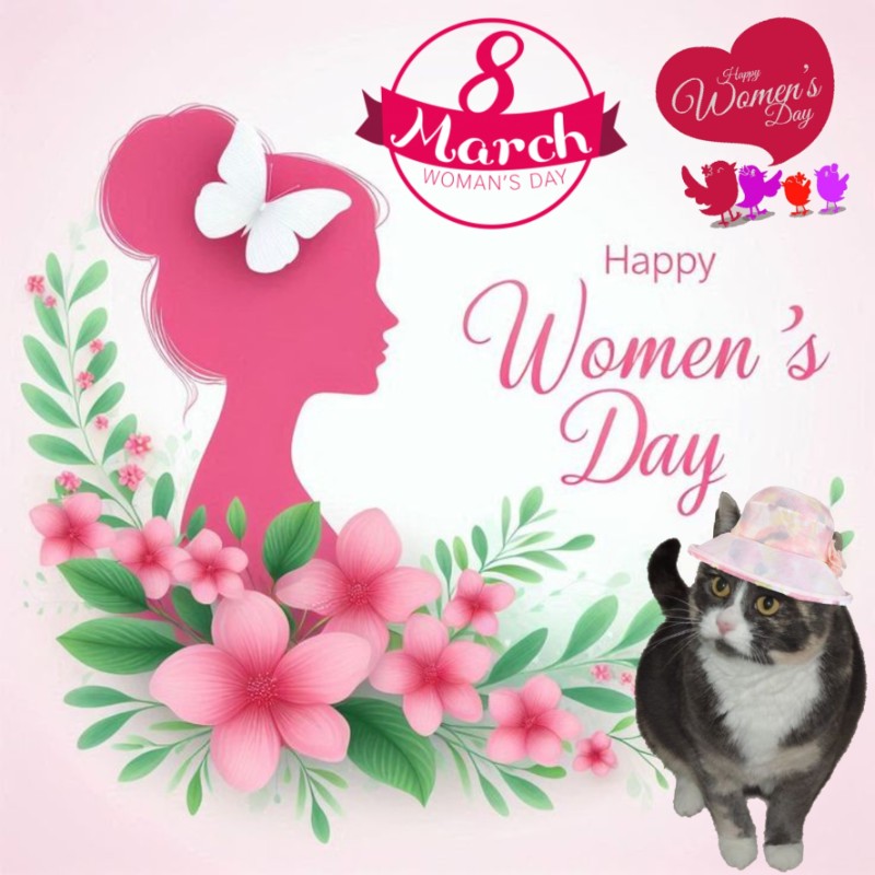 Blanche uploaded   46  day/s  ago