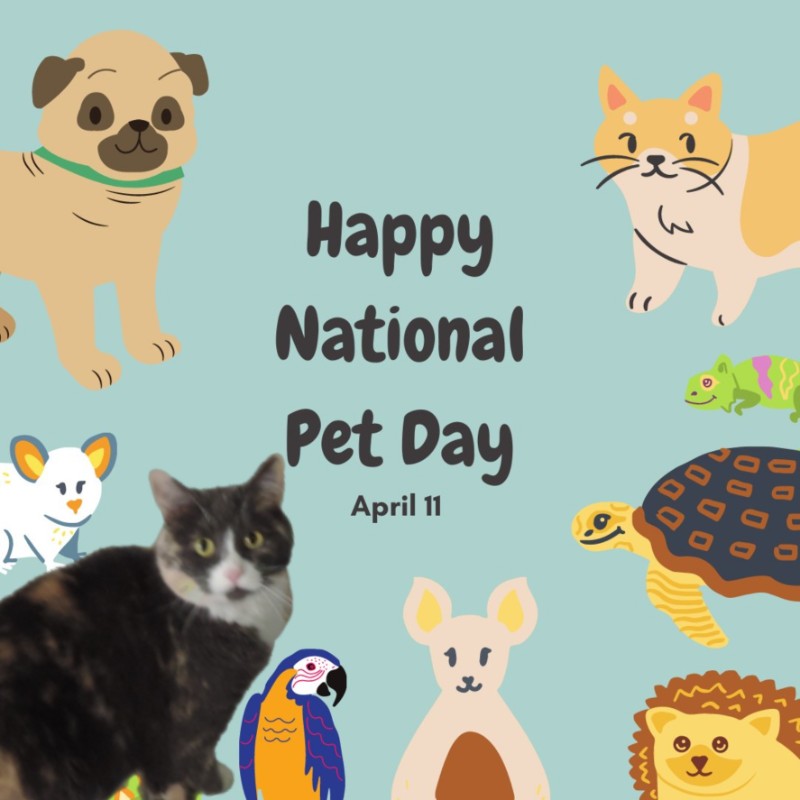 Daisy of the Blanche family