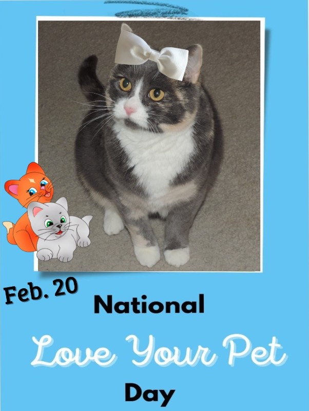 Blanche uploaded   65  day/s  ago