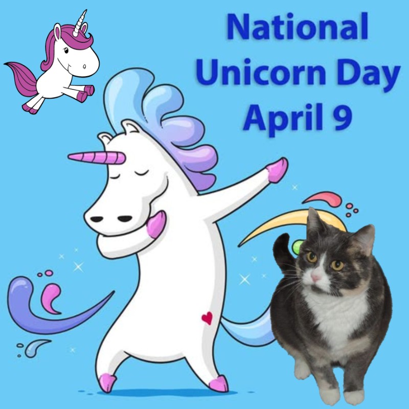 Daisy of the Blanche family