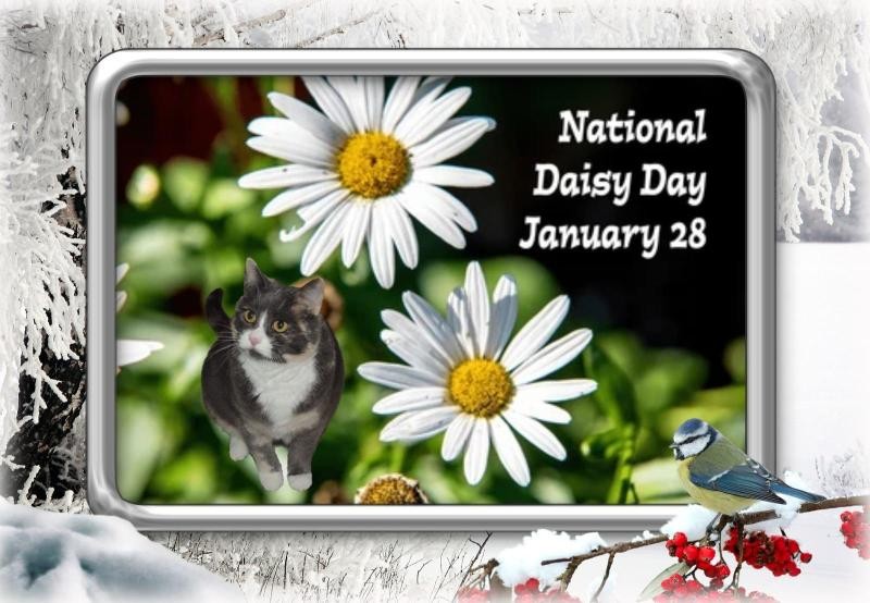 Blanche uploaded   89  day/s  ago