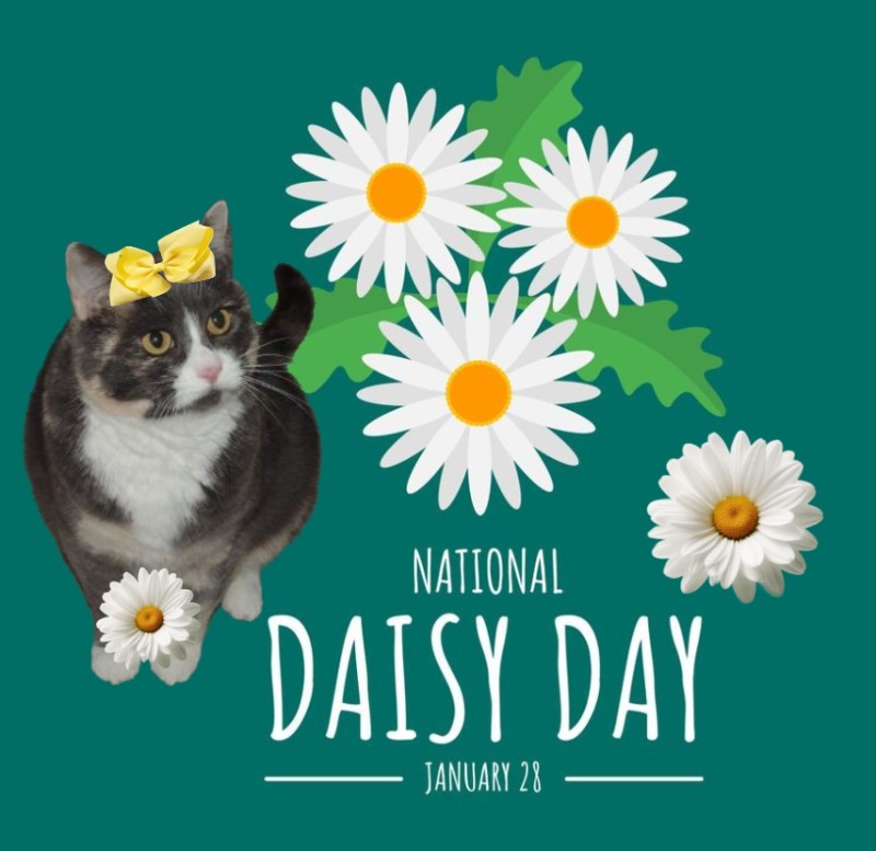 Blanche uploaded   90  day/s  ago