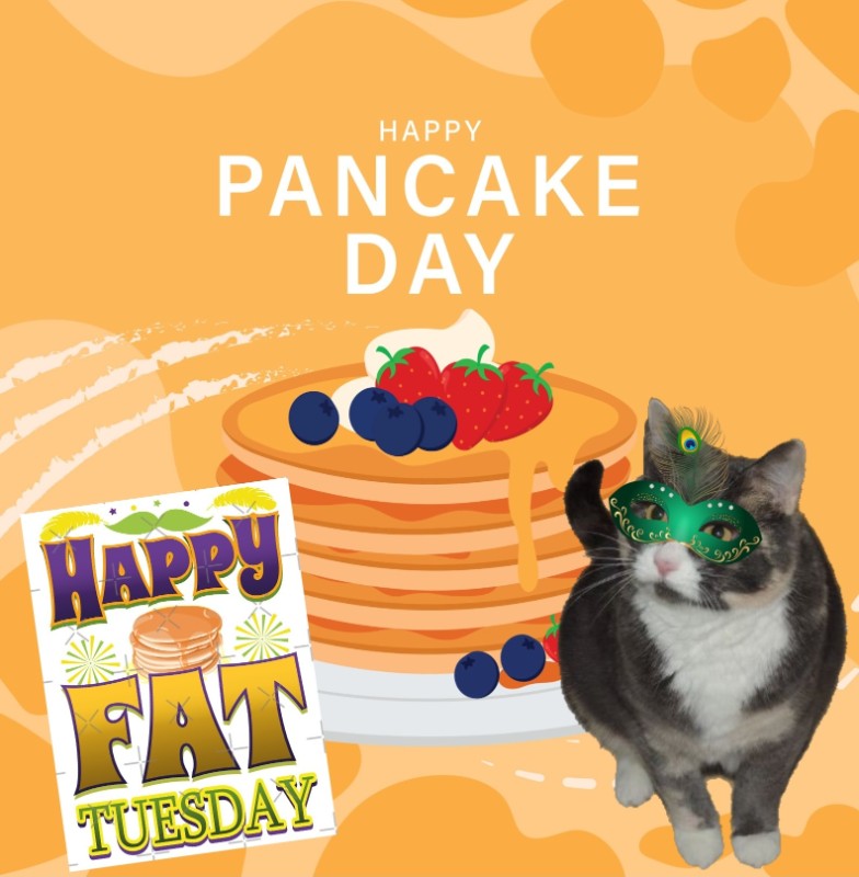 Blanche uploaded   69  day/s  ago