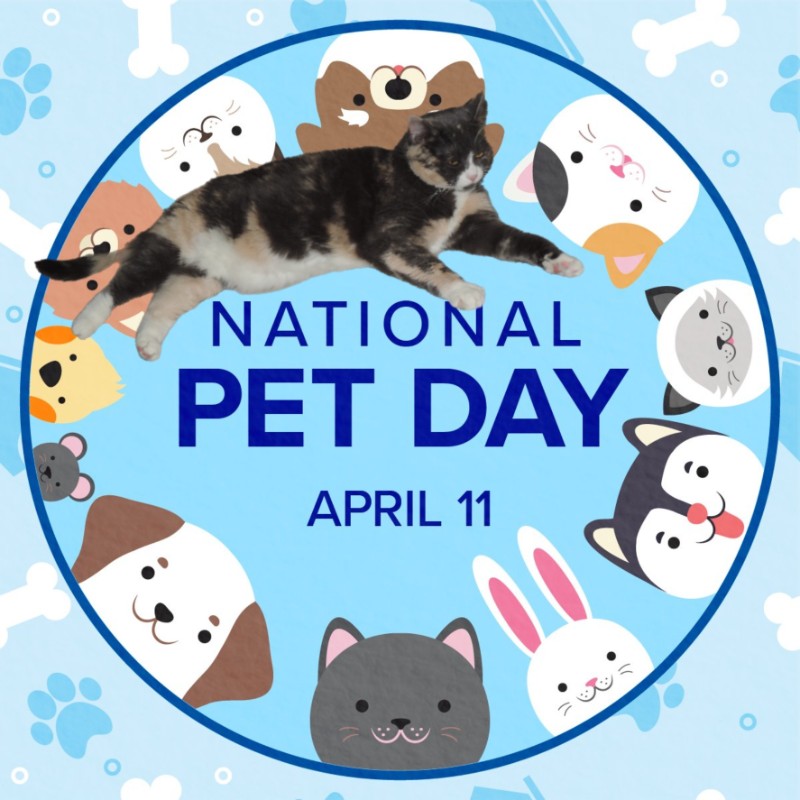 Daisy of the Blanche family