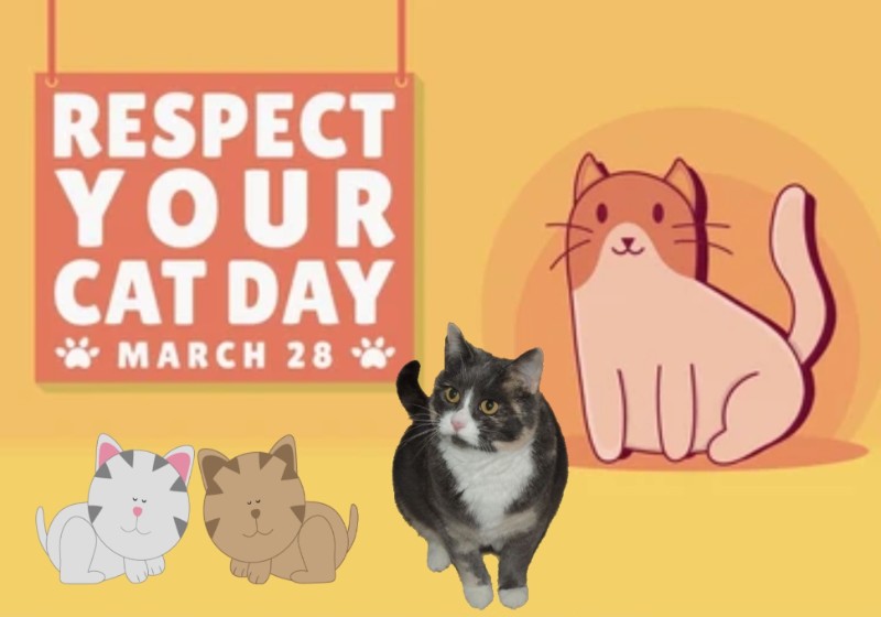 Blanche uploaded   15  day/s  ago