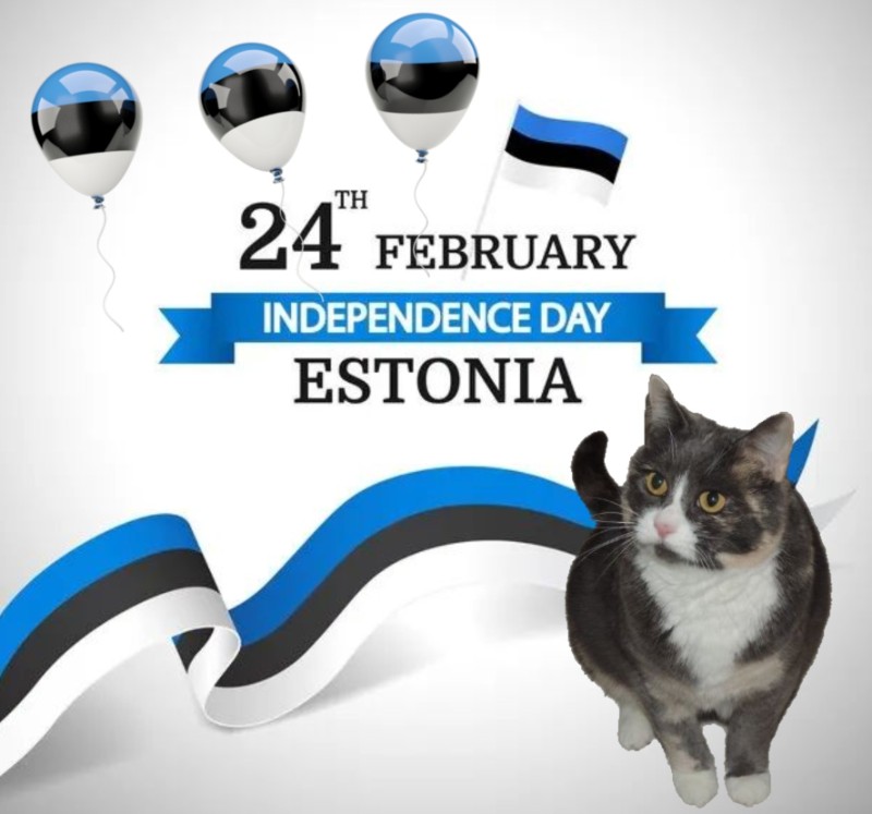 Blanche uploaded   61  day/s  ago