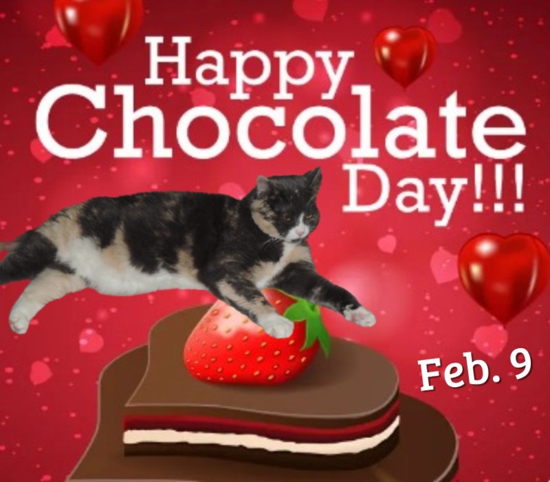 Blanche uploaded   76  day/s  ago