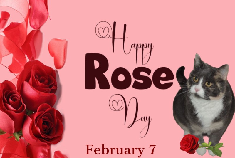 Blanche uploaded   79  day/s  ago