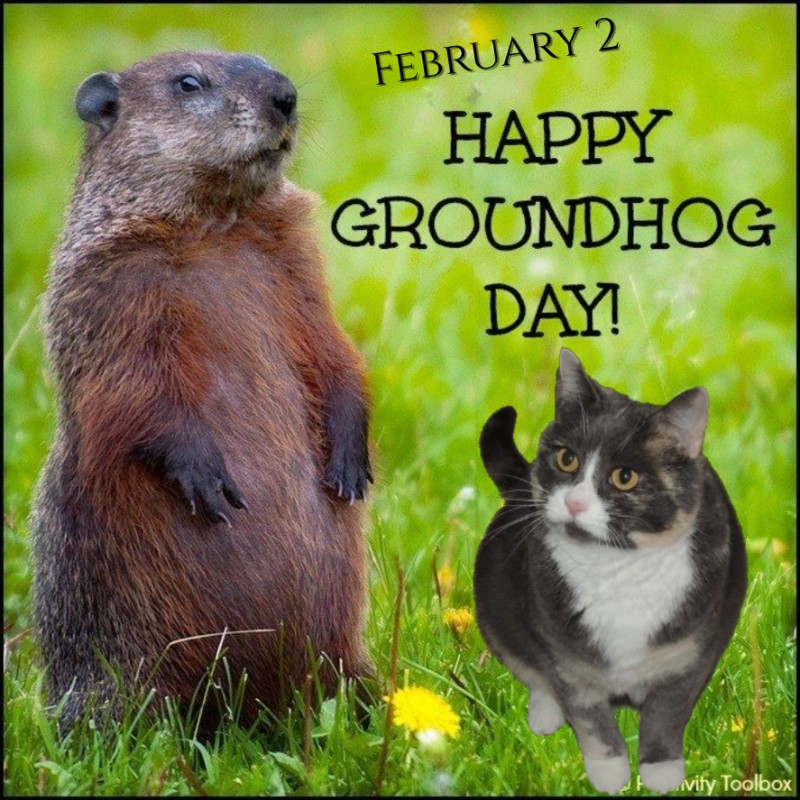 Blanche uploaded   85  day/s  ago