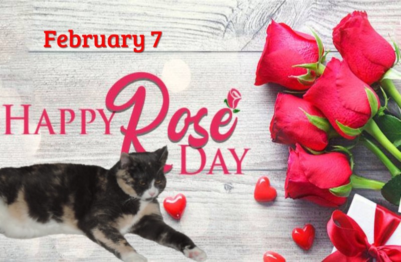 Blanche uploaded   79  day/s  ago