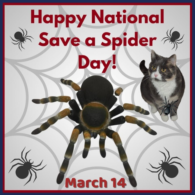 Blanche uploaded   34  day/s  ago