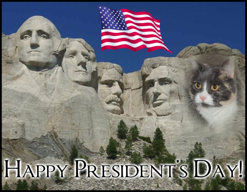 Blanche uploaded   69  day/s  ago