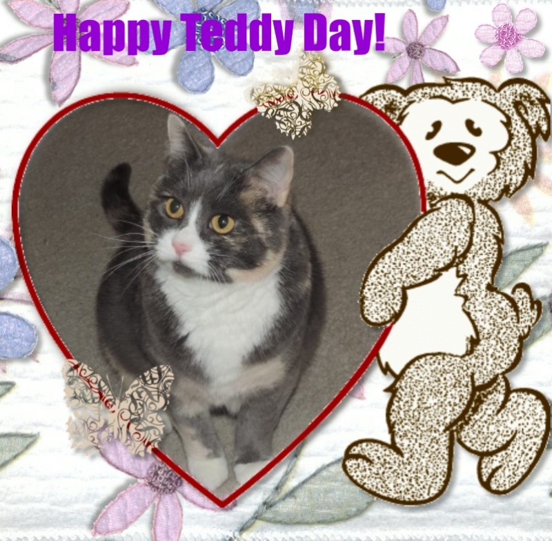 Blanche uploaded   75  day/s  ago