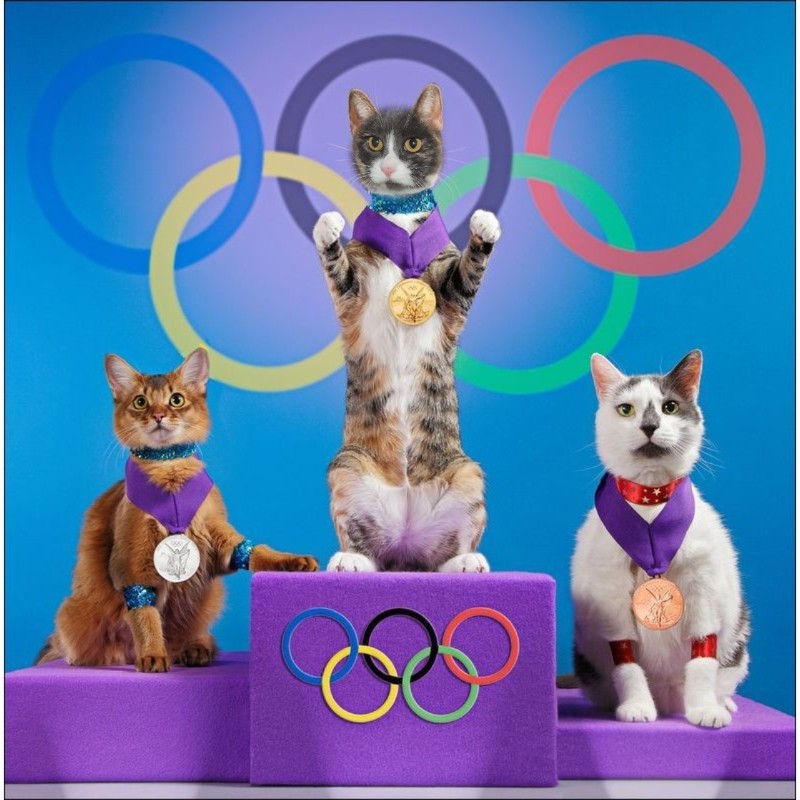 Blanche uploaded   70  day/s  ago