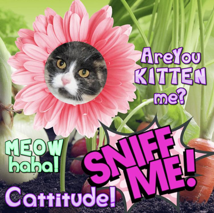 Blanche uploaded   89  day/s  ago