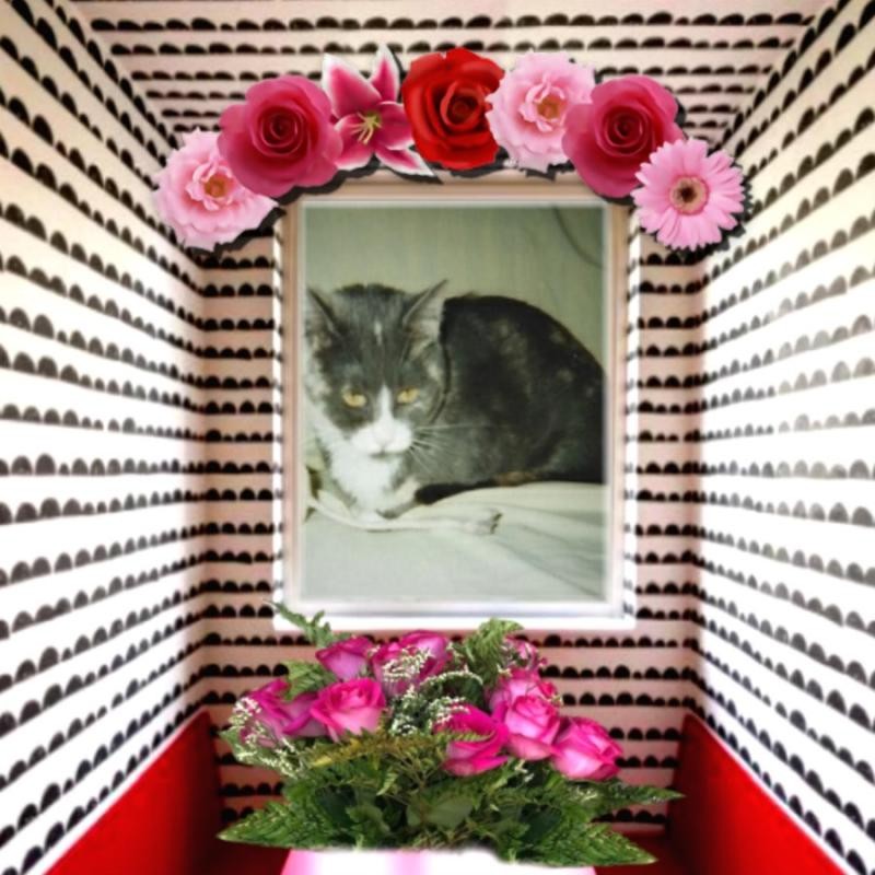 Blanche uploaded   74  day/s  ago