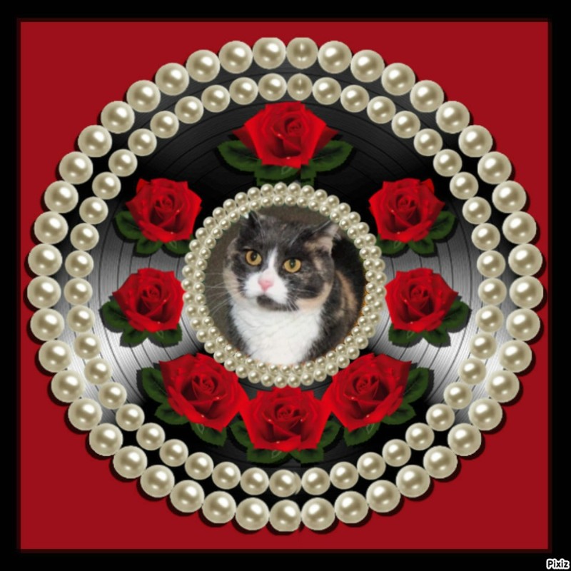 Blanche uploaded   47  day/s  ago