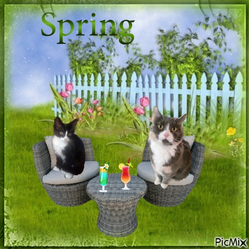 Blanche uploaded   23  day/s  ago