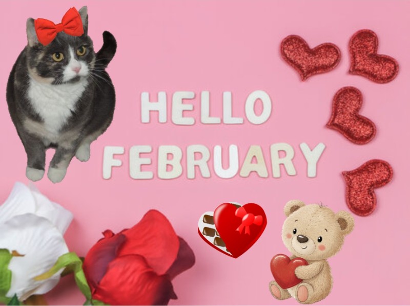 Blanche uploaded   86  day/s  ago