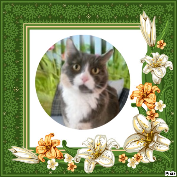 Blanche uploaded   22  day/s  ago