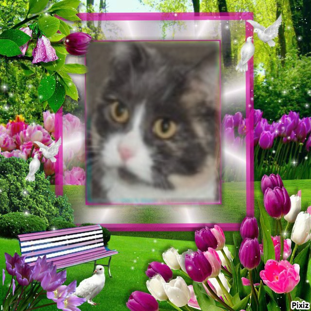 Blanche uploaded   50  day/s  ago