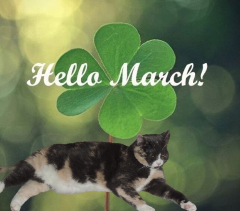 Blanche uploaded   53  day/s  ago