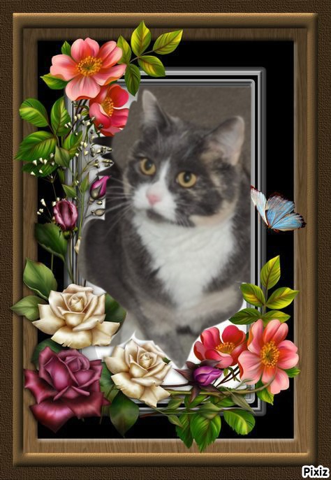 Blanche uploaded   61  day/s  ago