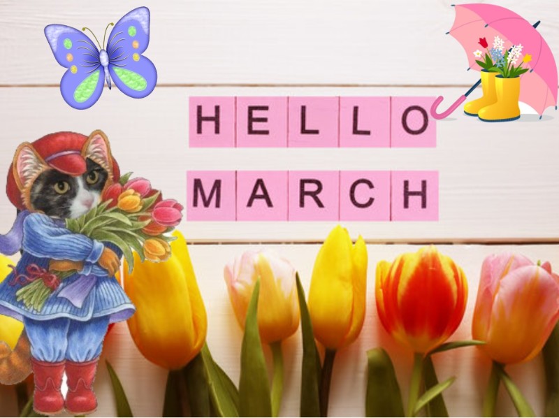 Blanche uploaded   53  day/s  ago