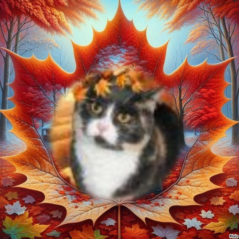 Daisy of the Blanche family