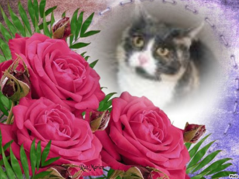 Daisy of the Blanche family