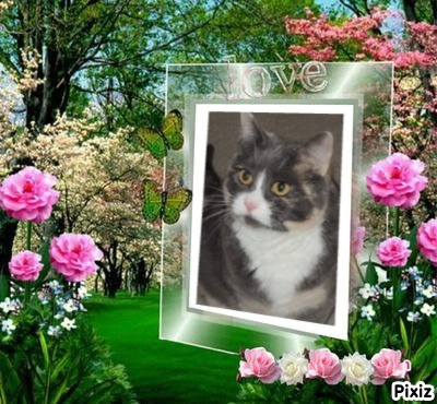 Blanche uploaded   55  day/s  ago