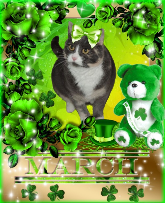 Blanche uploaded   53  day/s  ago