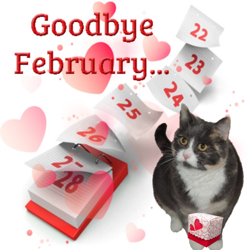 Blanche uploaded   54  day/s  ago