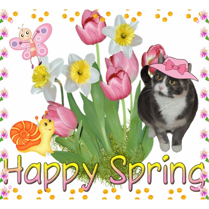 Blanche uploaded   23  day/s  ago