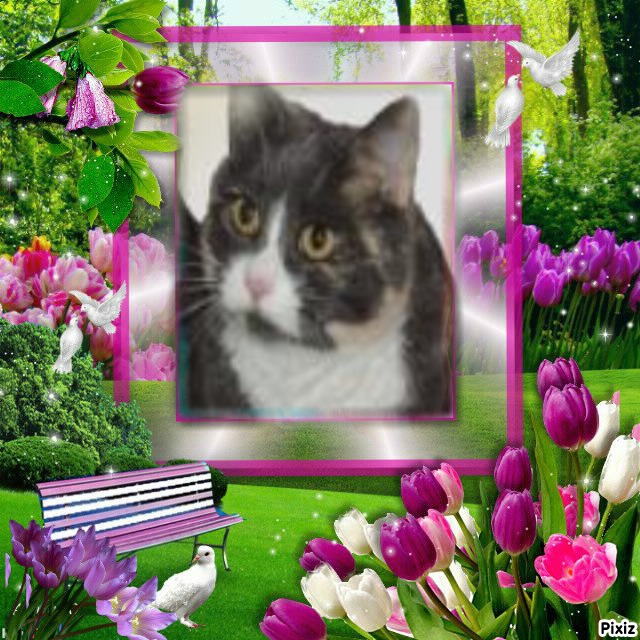 Daisy of the Blanche family