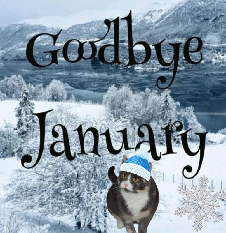 Blanche uploaded   86  day/s  ago