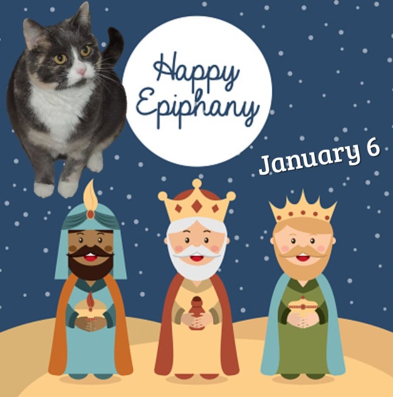 Daisy of the Blanche family