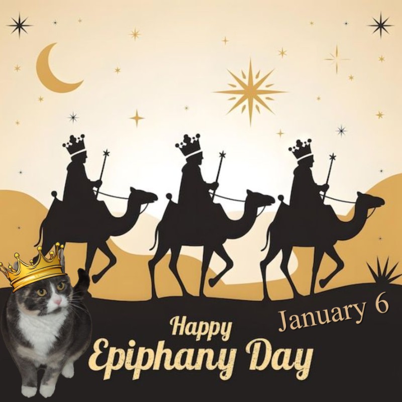 Daisy of the Blanche family