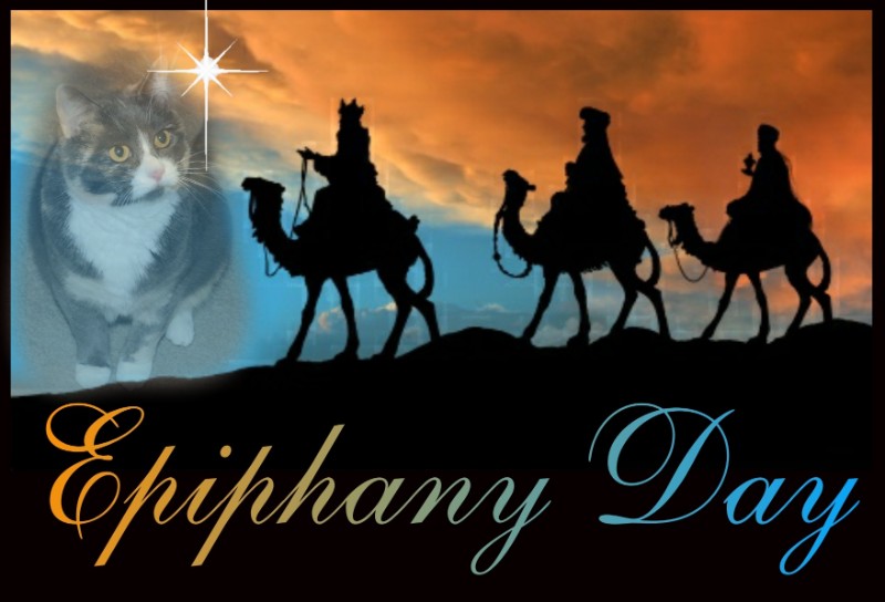 Daisy of the Blanche family