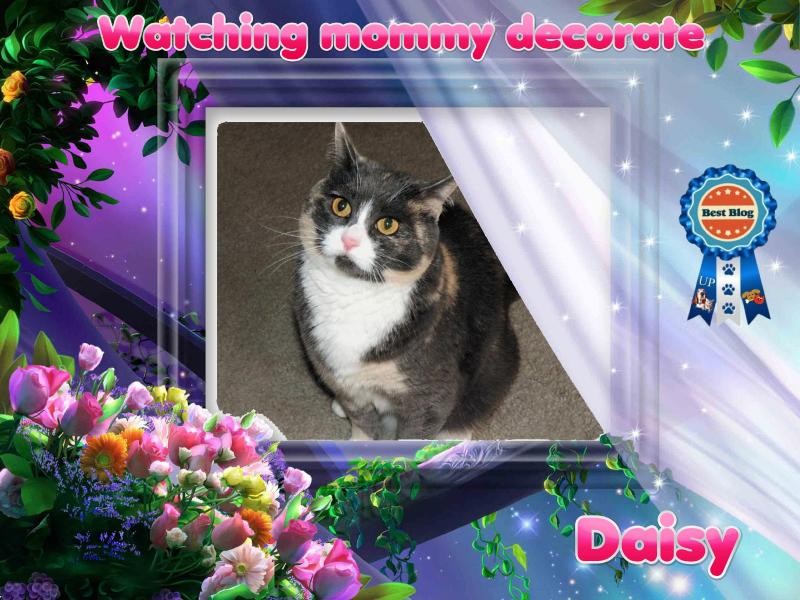 Blanche uploaded   45  day/s  ago