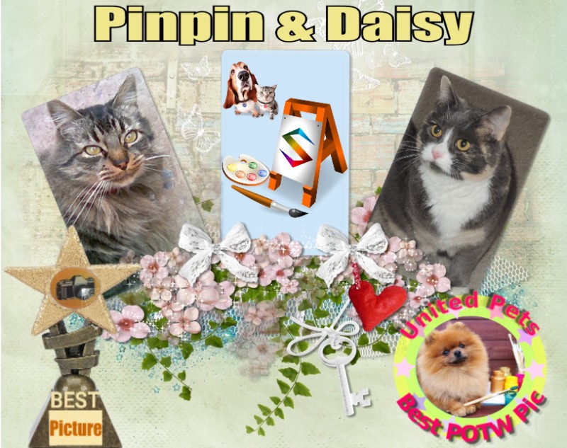 Blanche uploaded   93  day/s  ago