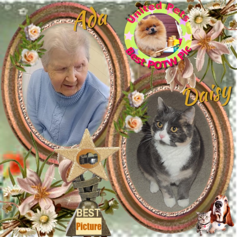 Blanche uploaded   82  day/s  ago