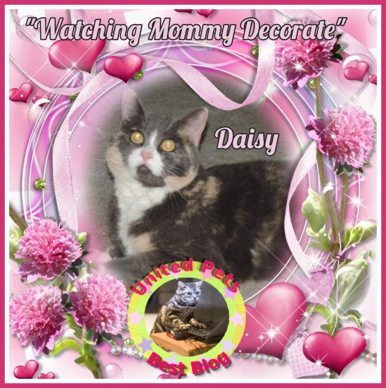 Blanche uploaded   48  day/s  ago