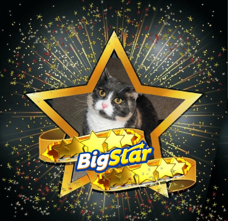 Blanche uploaded   125  day/s  ago