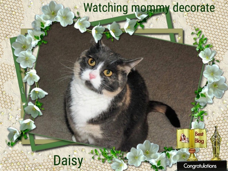 Blanche uploaded   47  day/s  ago