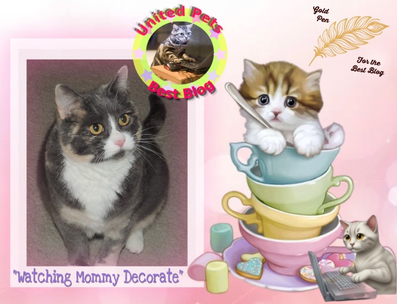 Blanche uploaded   45  day/s  ago