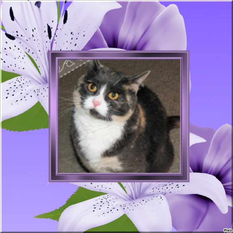 Blanche uploaded   50  day/s  ago