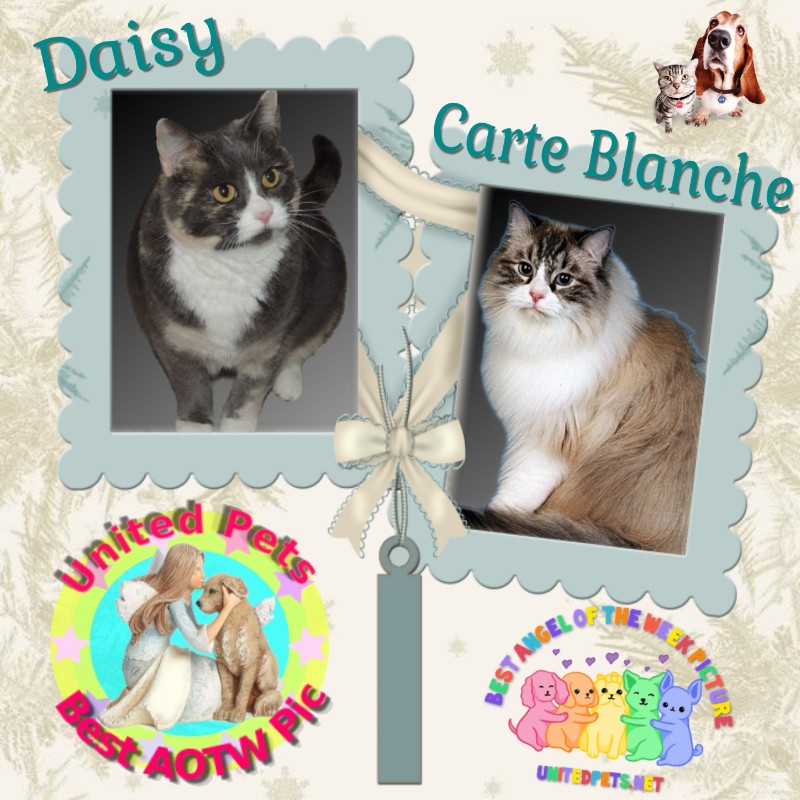 Blanche uploaded   65  day/s  ago